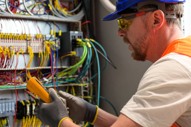 Best Electric Panel Repair  in Taft Southwest, TX